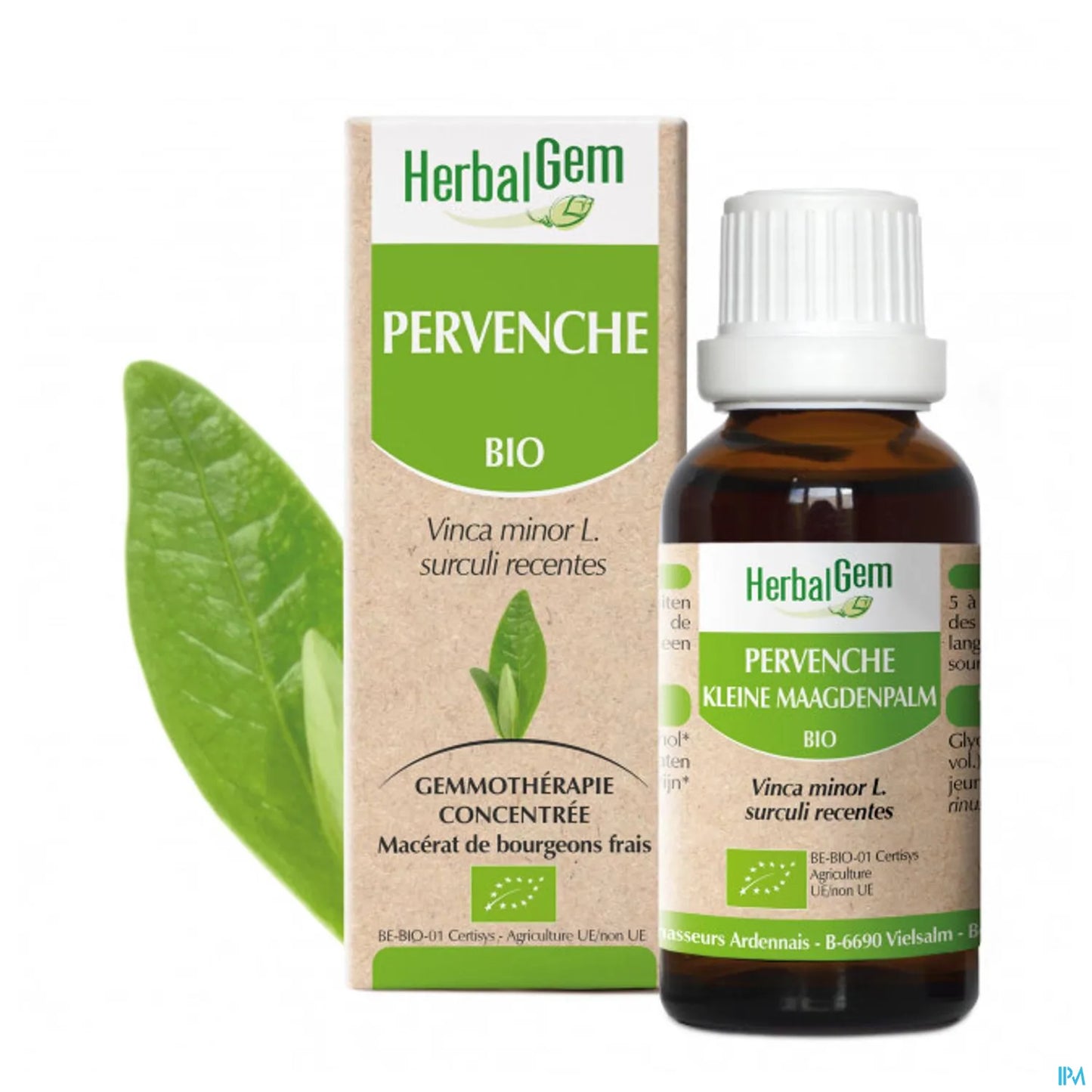 Pervenche Bourgeon Bio 30 mL