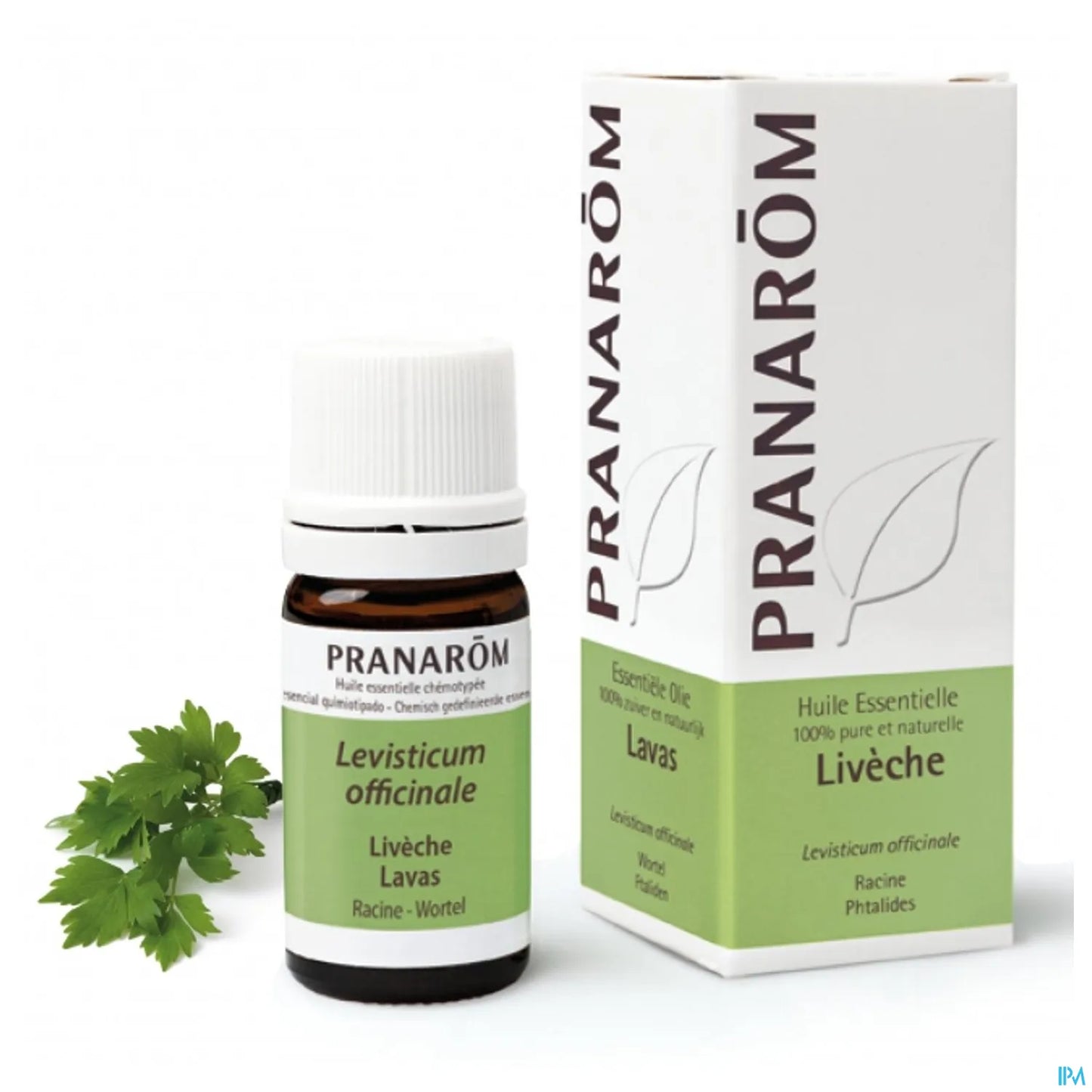 Huile Essentielle Livèche 5 mL