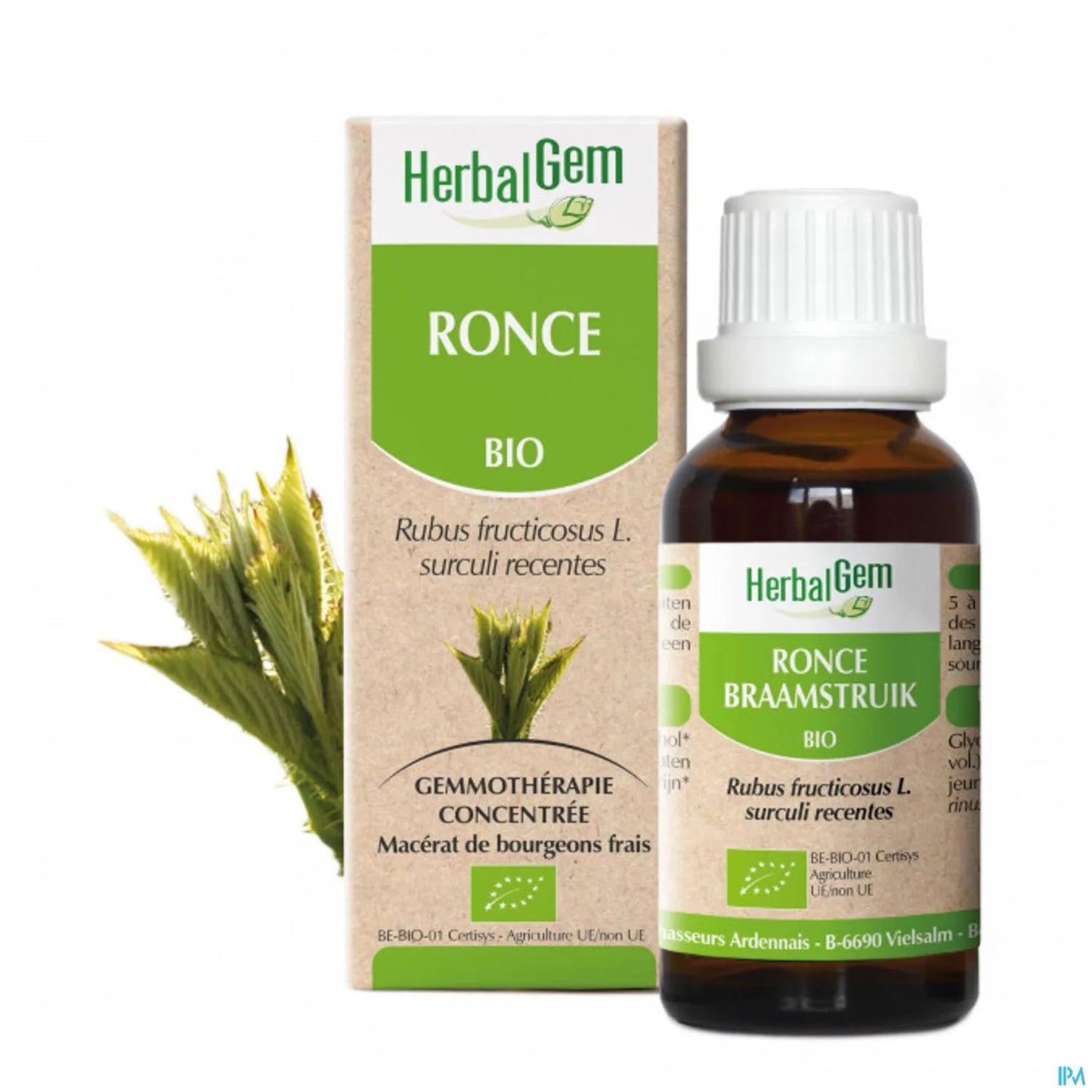 Macérât Mère Ronce Bio 30 mL