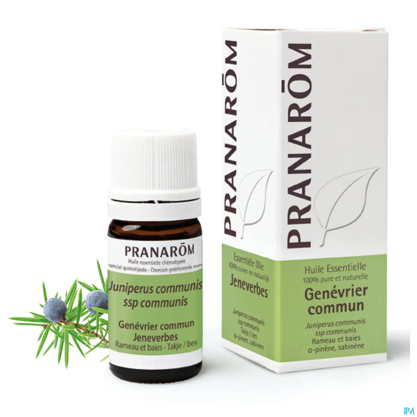 Common Juniper Essential Oil 5 mL