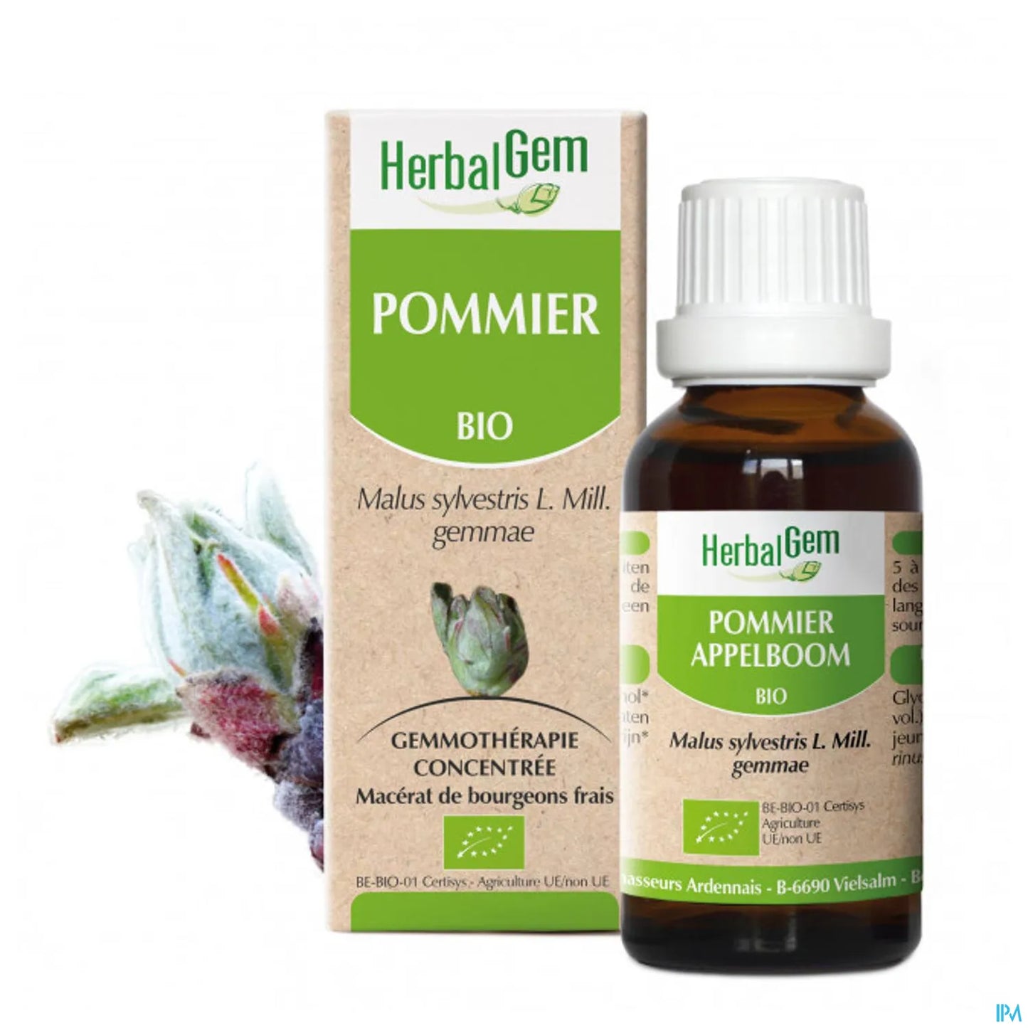 Macérat Mère Pommier Bio 30 mL