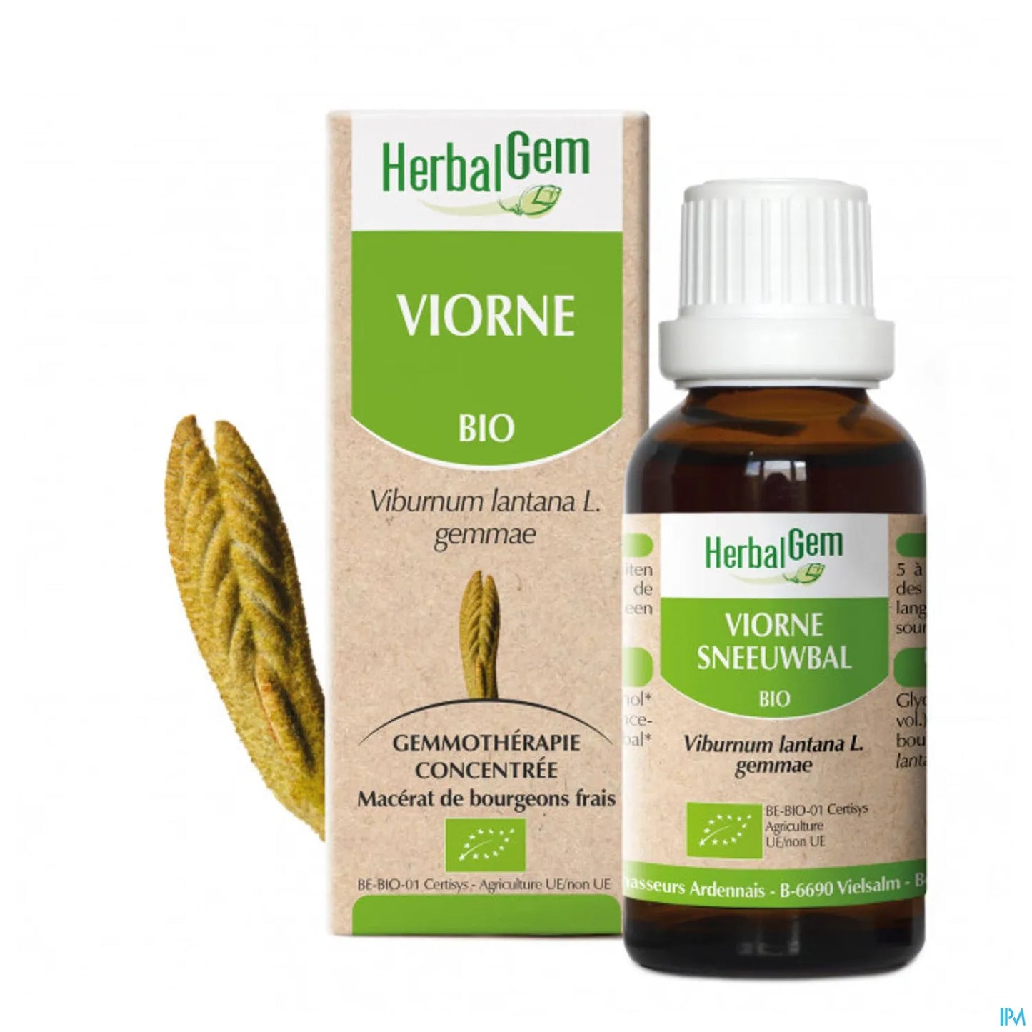 Organic Viburnum Mother Macerate 30 mL