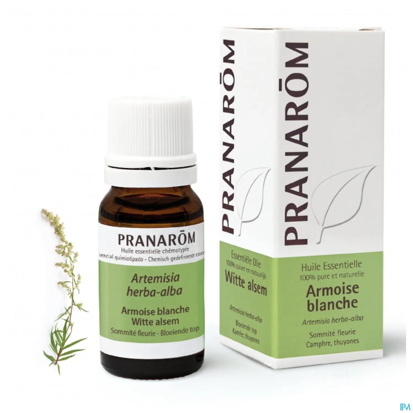 White Mugwort Essential Oil 10 mL