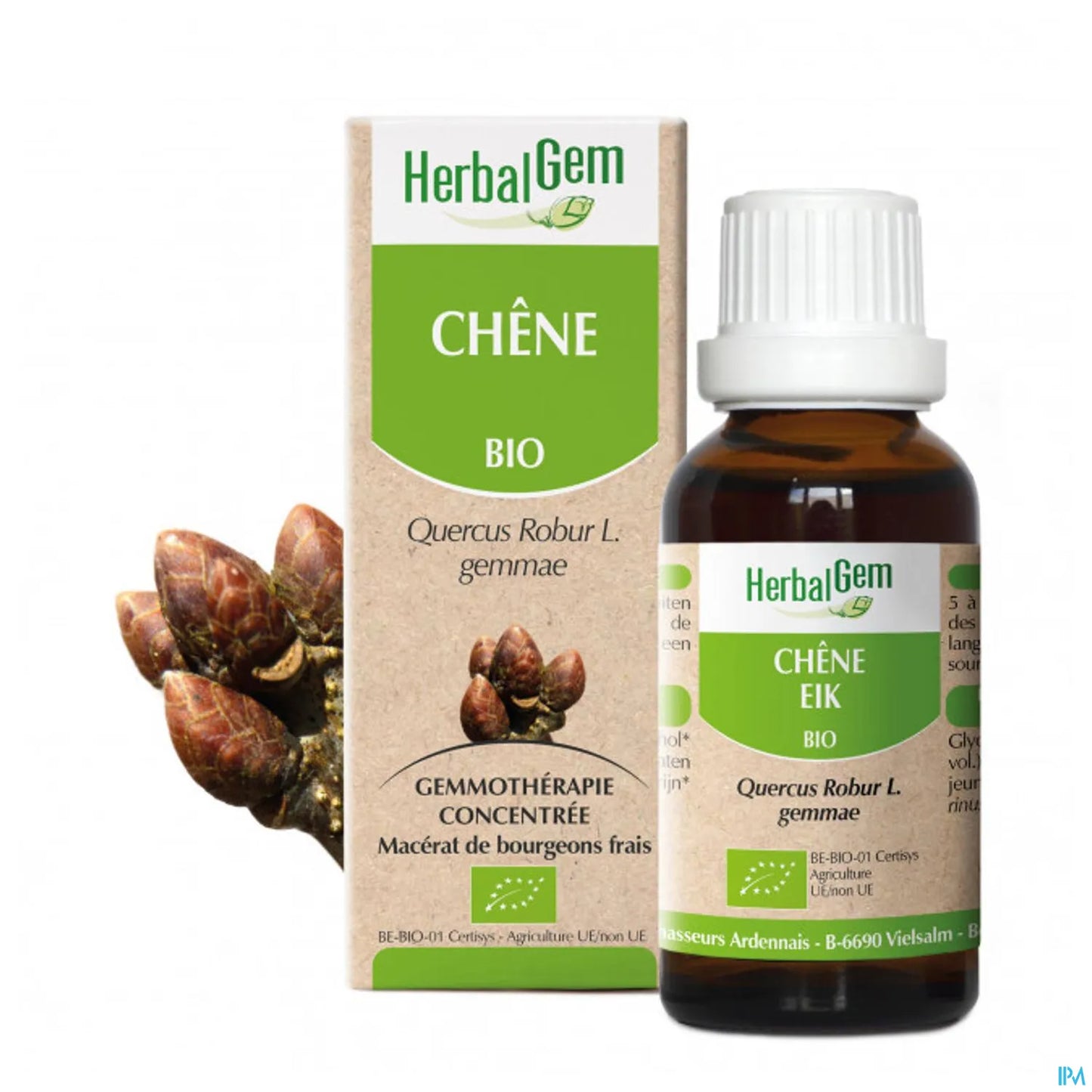 Macérât Mère Chêne Bio 30 mL