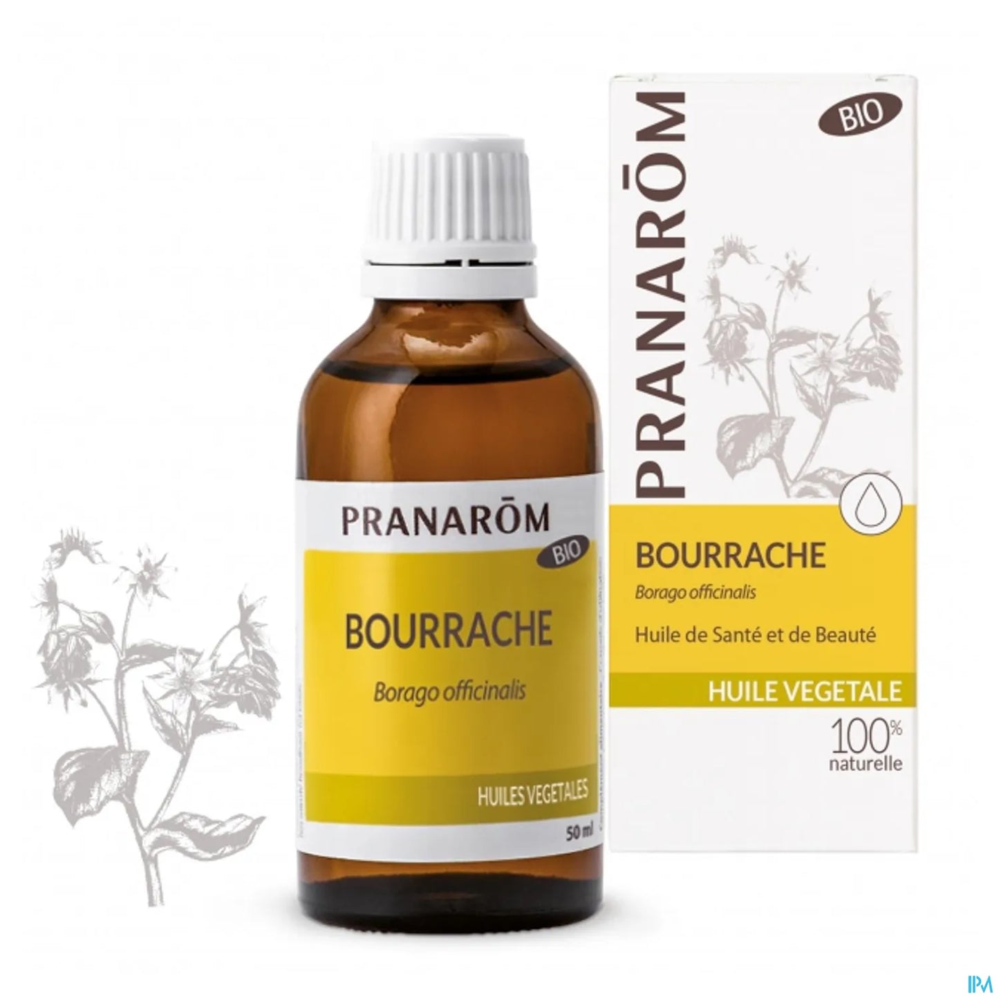 Huile Végétale Bio Bourrache 50ml