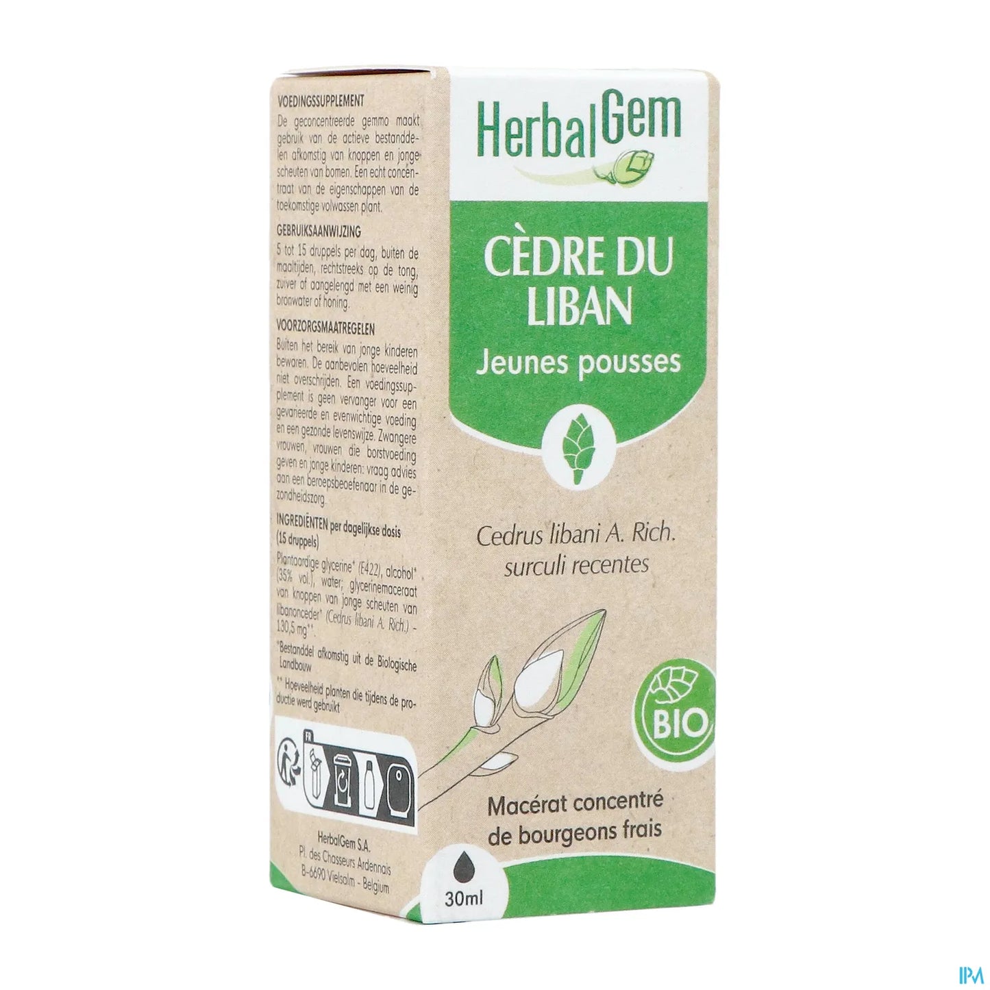 Cèdre du Liban Bourgeons Bio 30 mL
