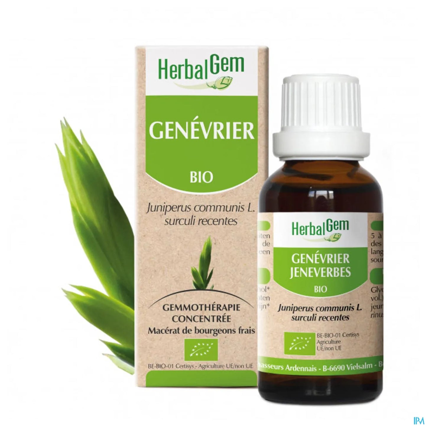 Macérat Mère Genévrier Bio 30 mL