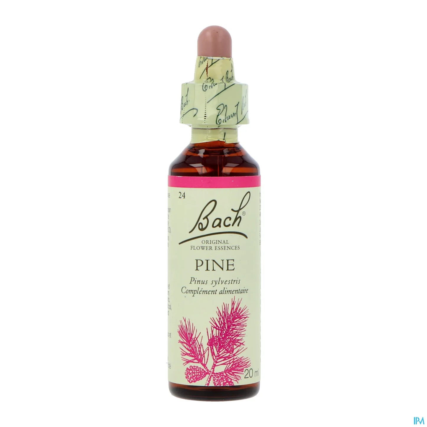 Pine - 20 ml