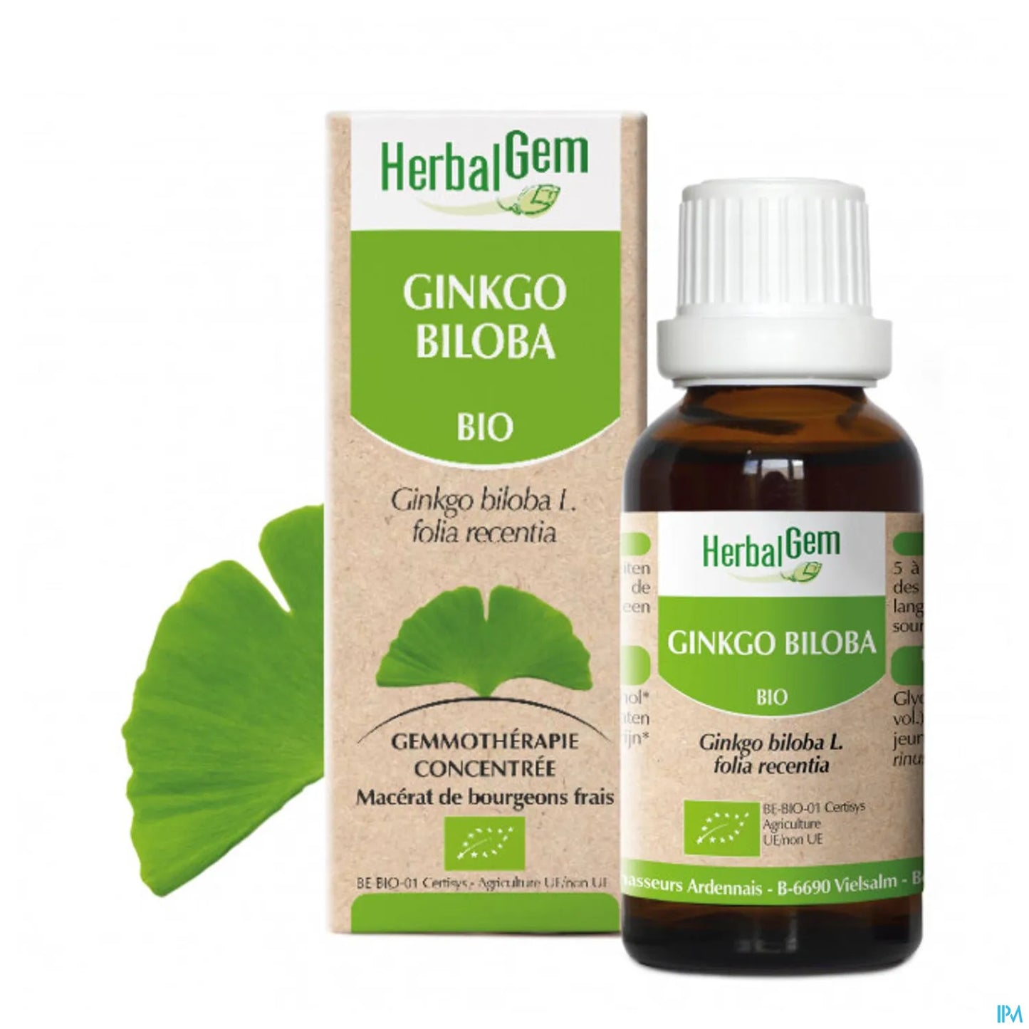 Macérât Mère Ginkgo Biloba Bio 30 mL