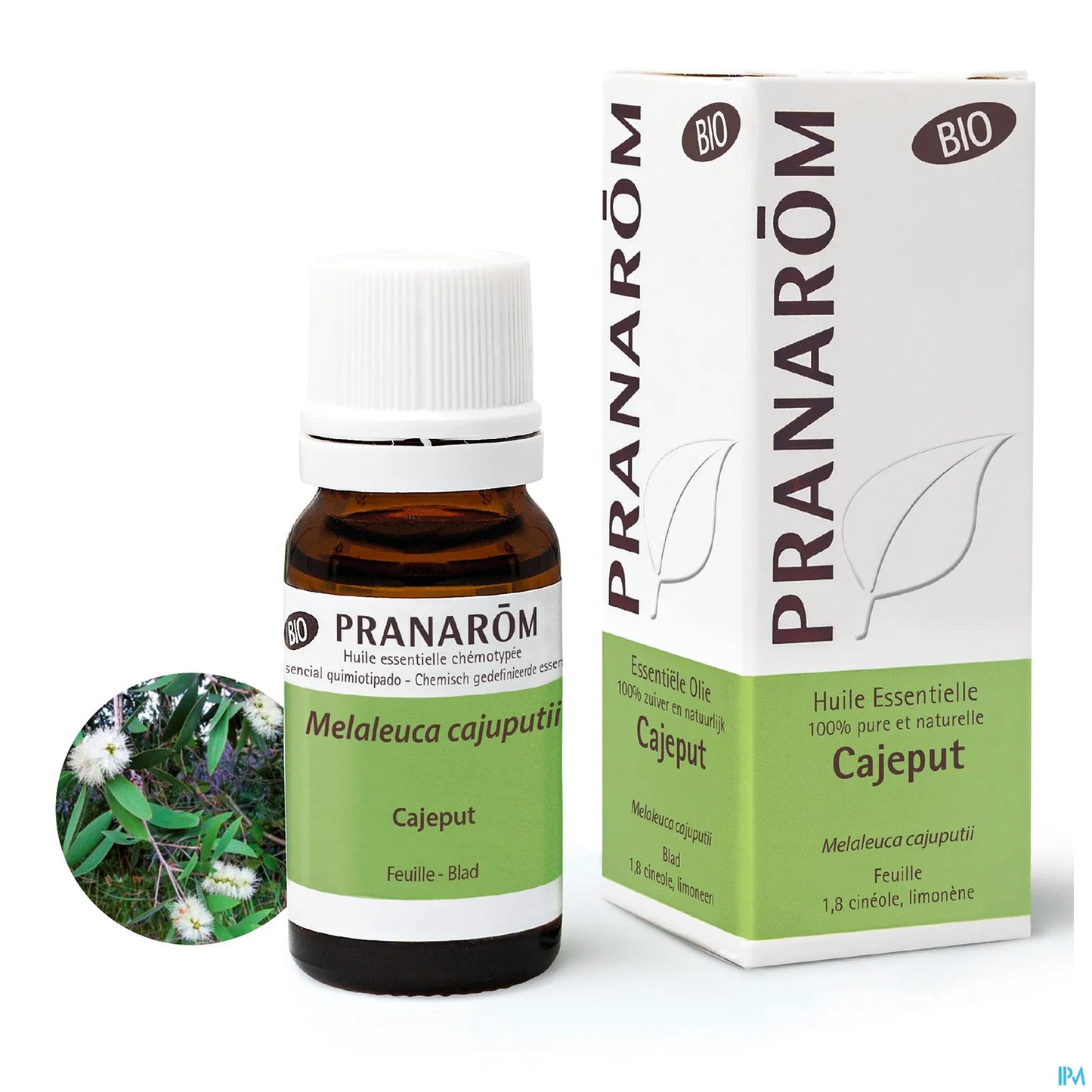 Olio essenziale di cajeput 10 ml