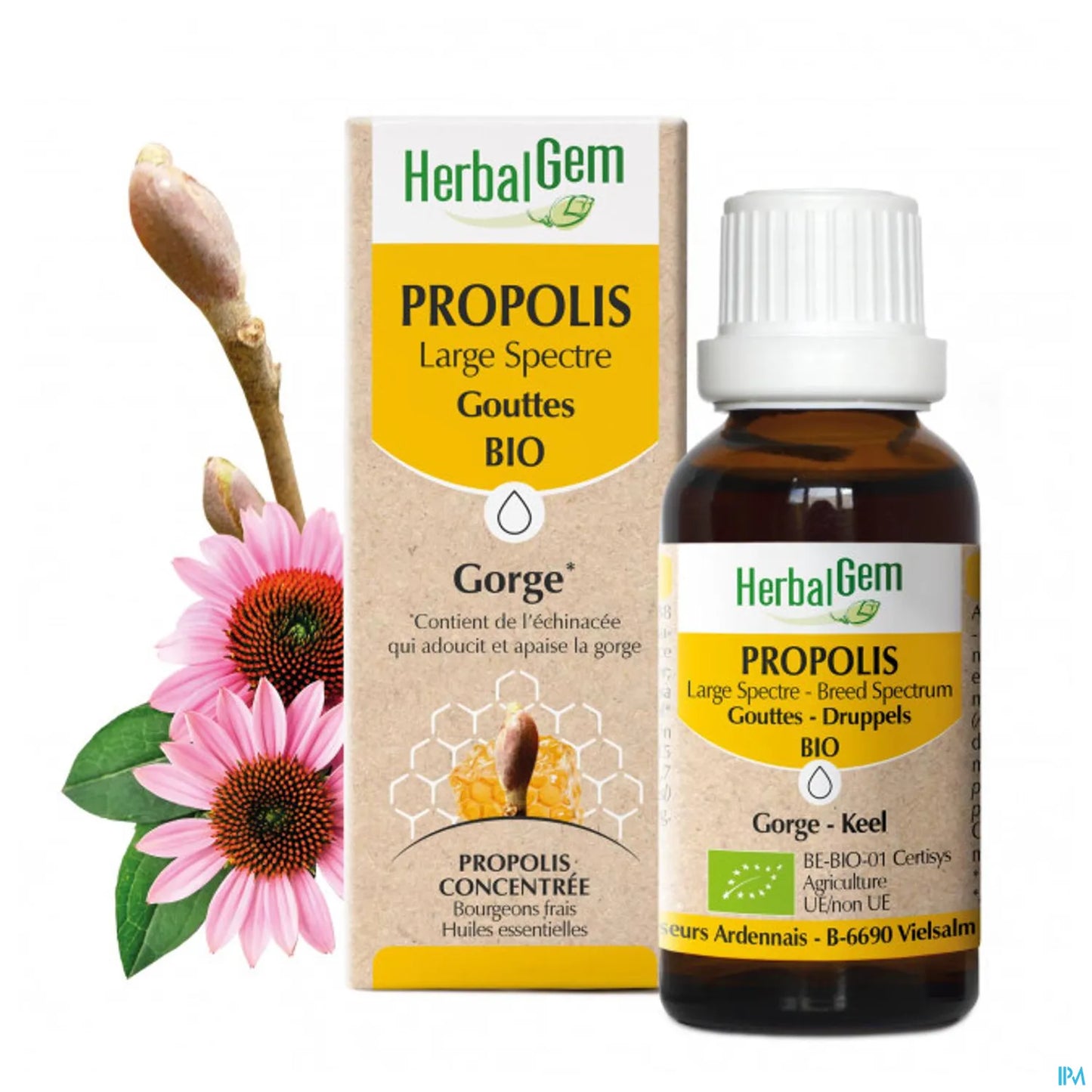 Propolis Bio Gouttes 15 mL
