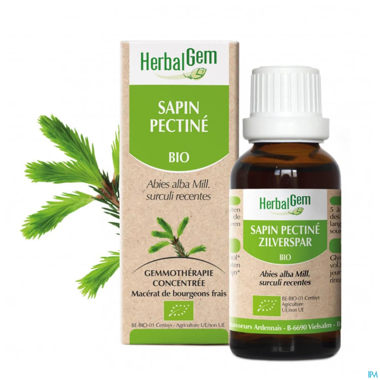 Macérat Mère Sapin Pectiné Bio 30 mL