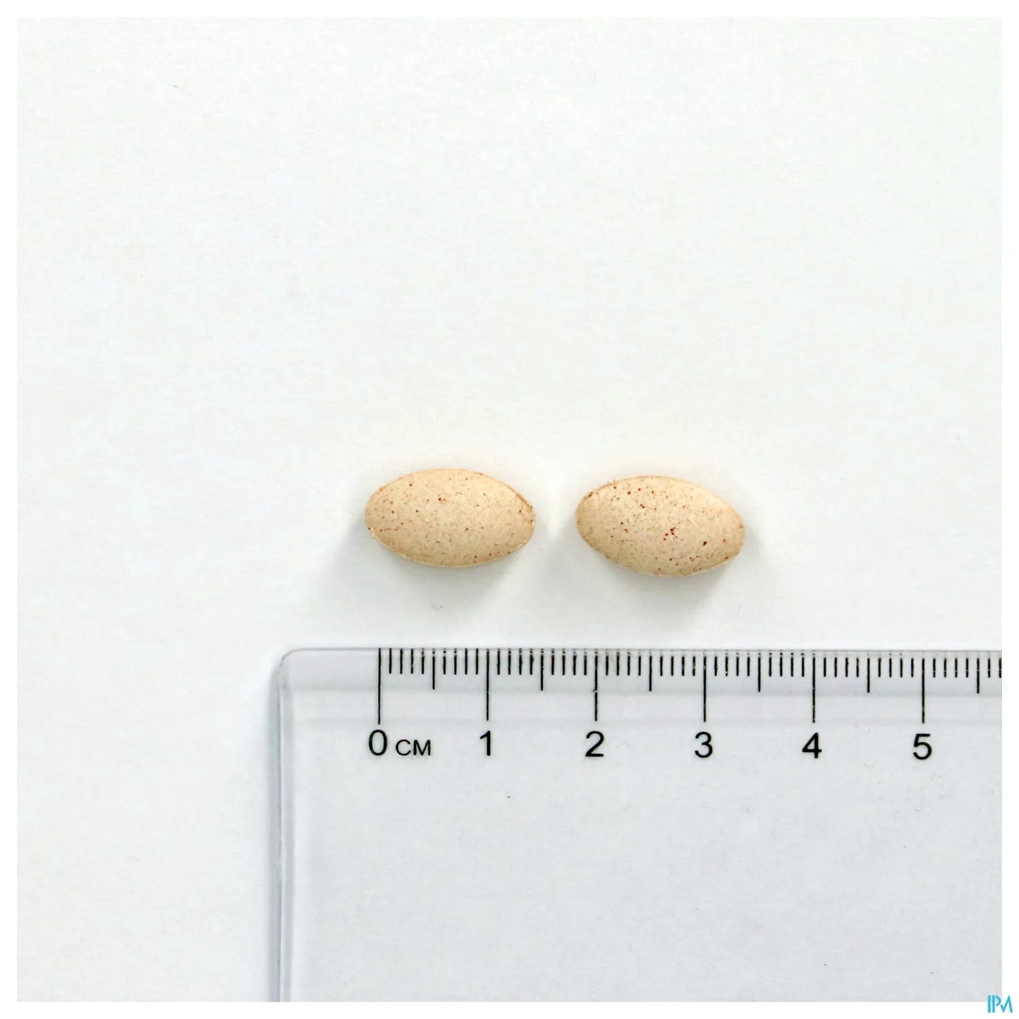 Phytostandard Rhodiole Safran 30 Comprimés