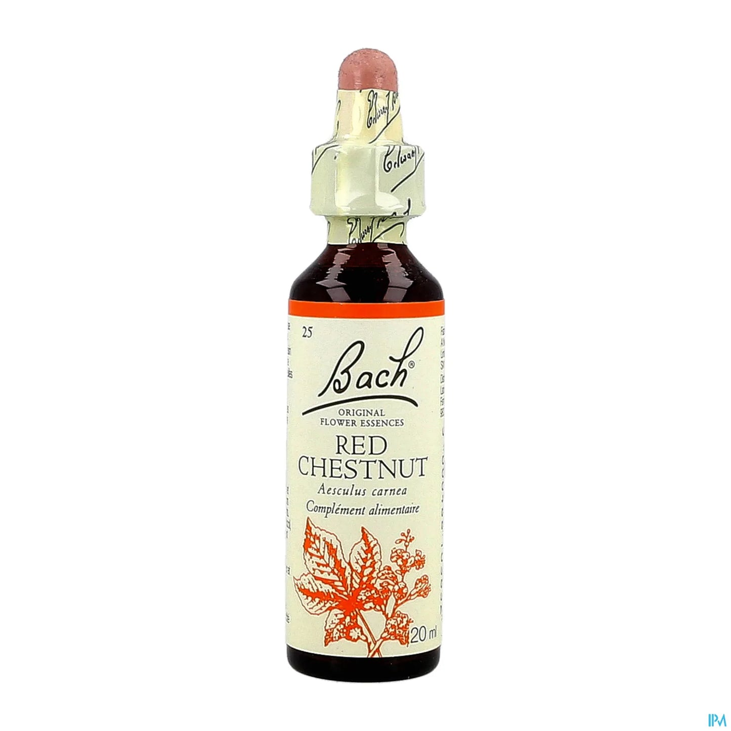 Red Chestnut (Marronnier Rouge) 20ML