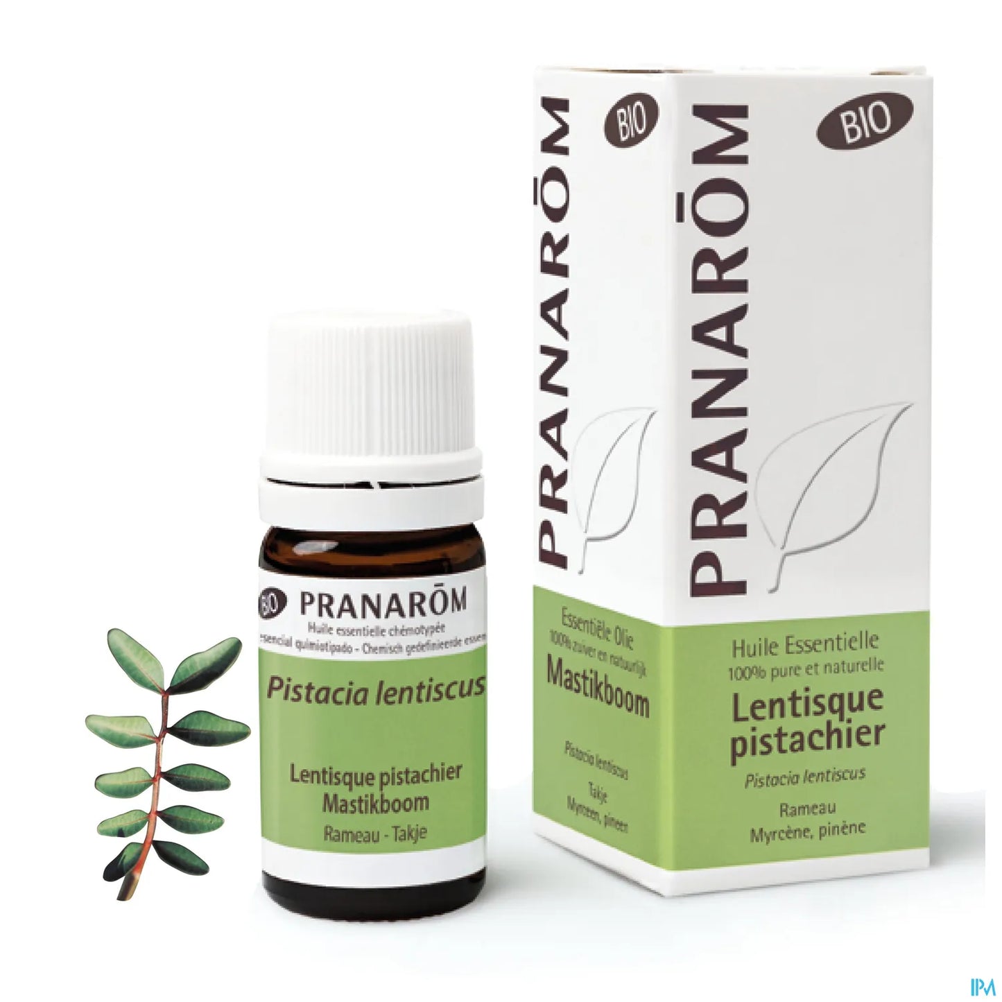 Organic Mastic Pistachio Essential Oil 5ml