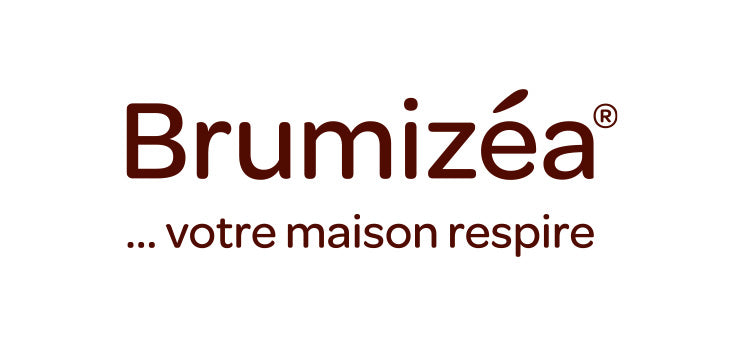 brumizea - logo