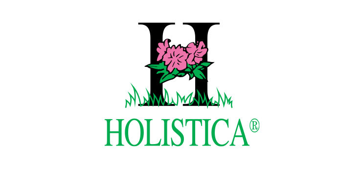 holistica - logo