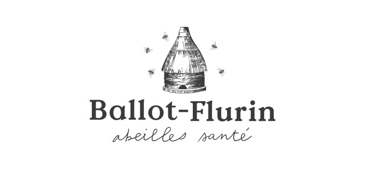 ballot flurin - logo