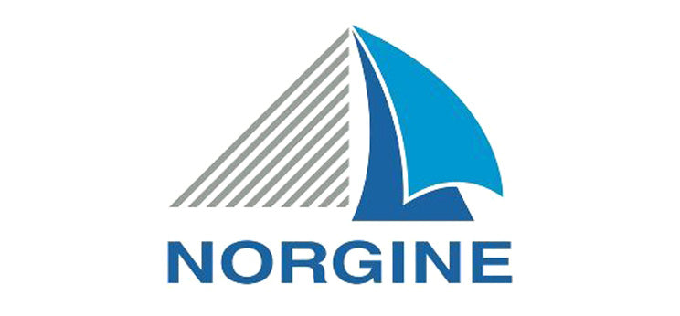 norgine - logo