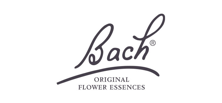 bach - logo