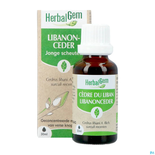 Cèdre du Liban Bourgeons Bio 30 mL