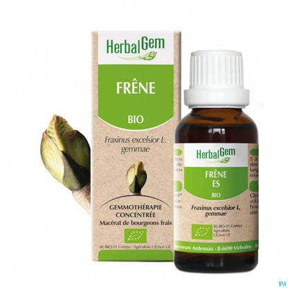 Macérat de Bourgeon de Frêne Bio 30 mL