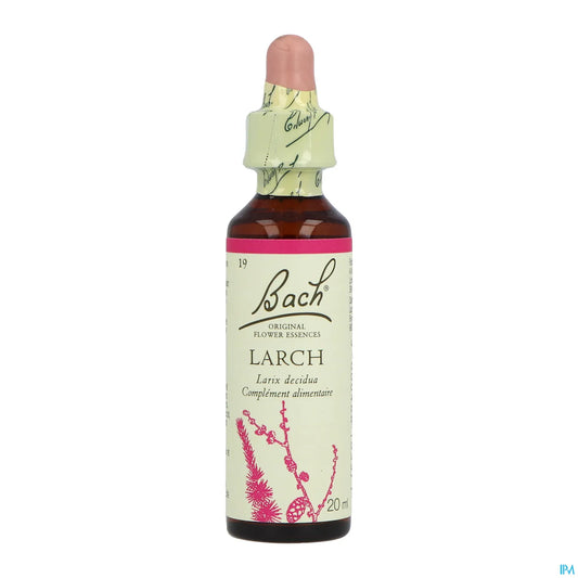 Original N°19 Larch 20ml