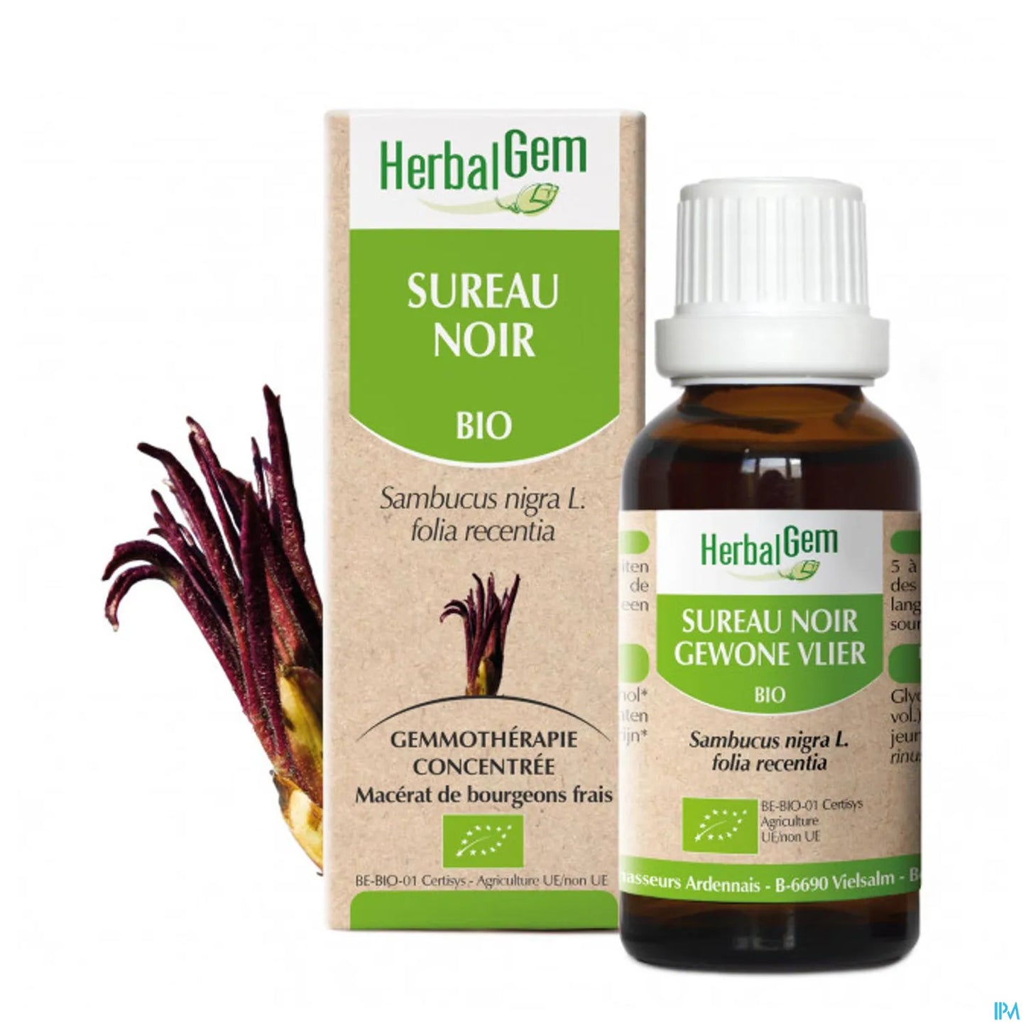 Macérat Mère Sureau Noir 30 mL