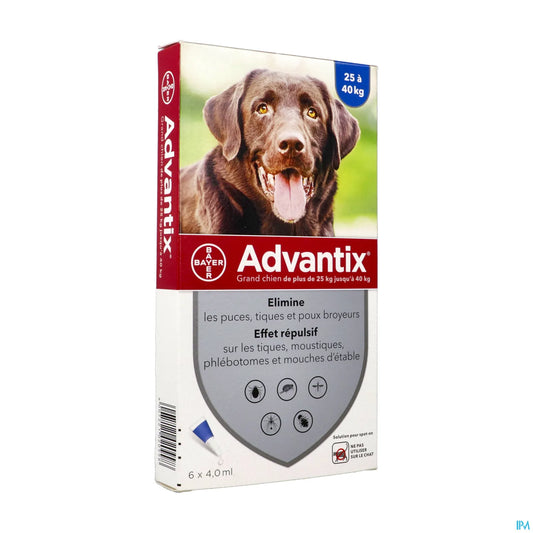 Traitement Spot On Chien Grand Boîte de 6 Pipettes 4 mL