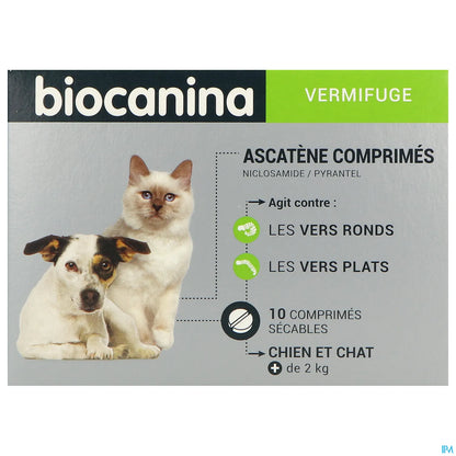 Ascatène 10 Comprimés Vermifuge Pour Chiens et Chats