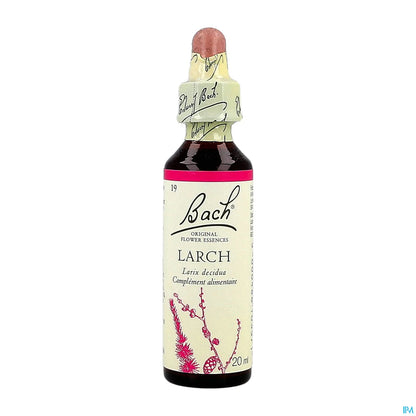 Originale n. 19 Larice 20ml