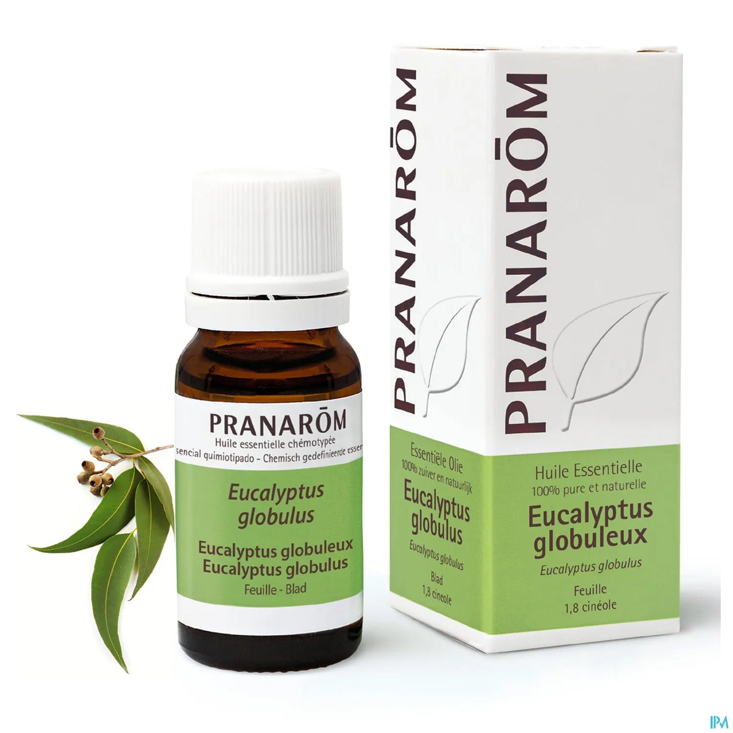 Huile Essentielle Eucalyptus Globuleux 10 mL