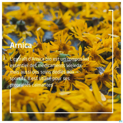 Huile de Massage Arnica 200 ml