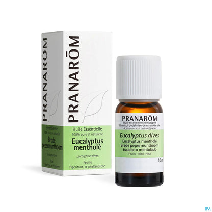 Eucalyptus Mentholated 10 mL