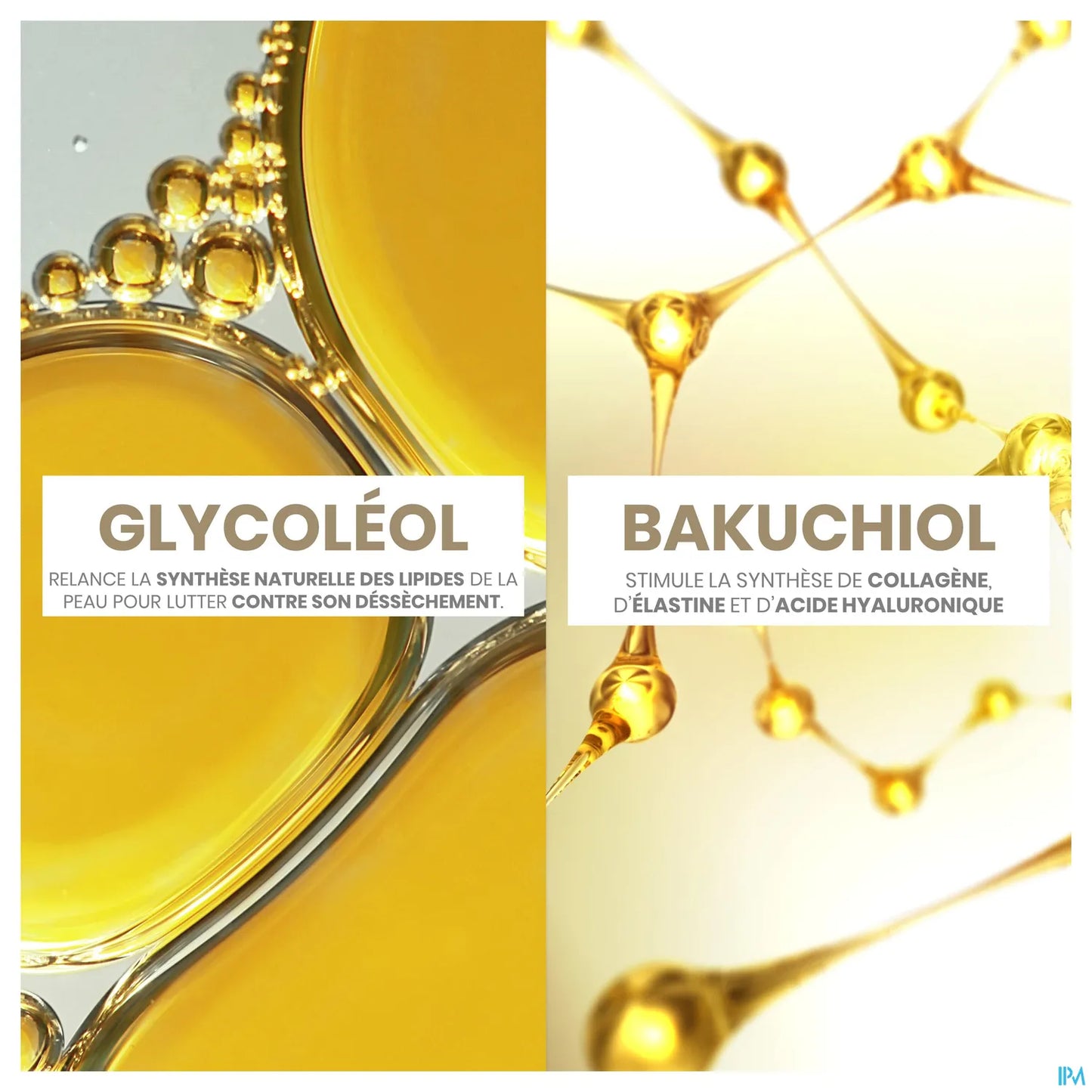 Dermabsolu Redensifiant Crème de Jour Recharge 50ML