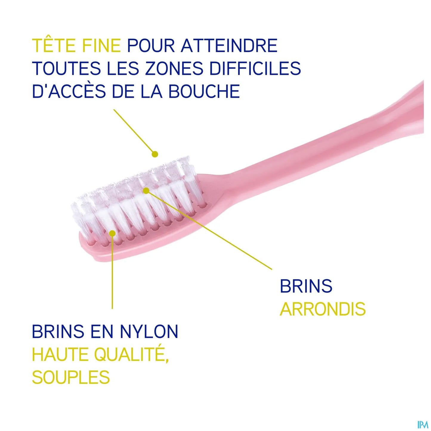 Brosse à Dents Souple 20/100