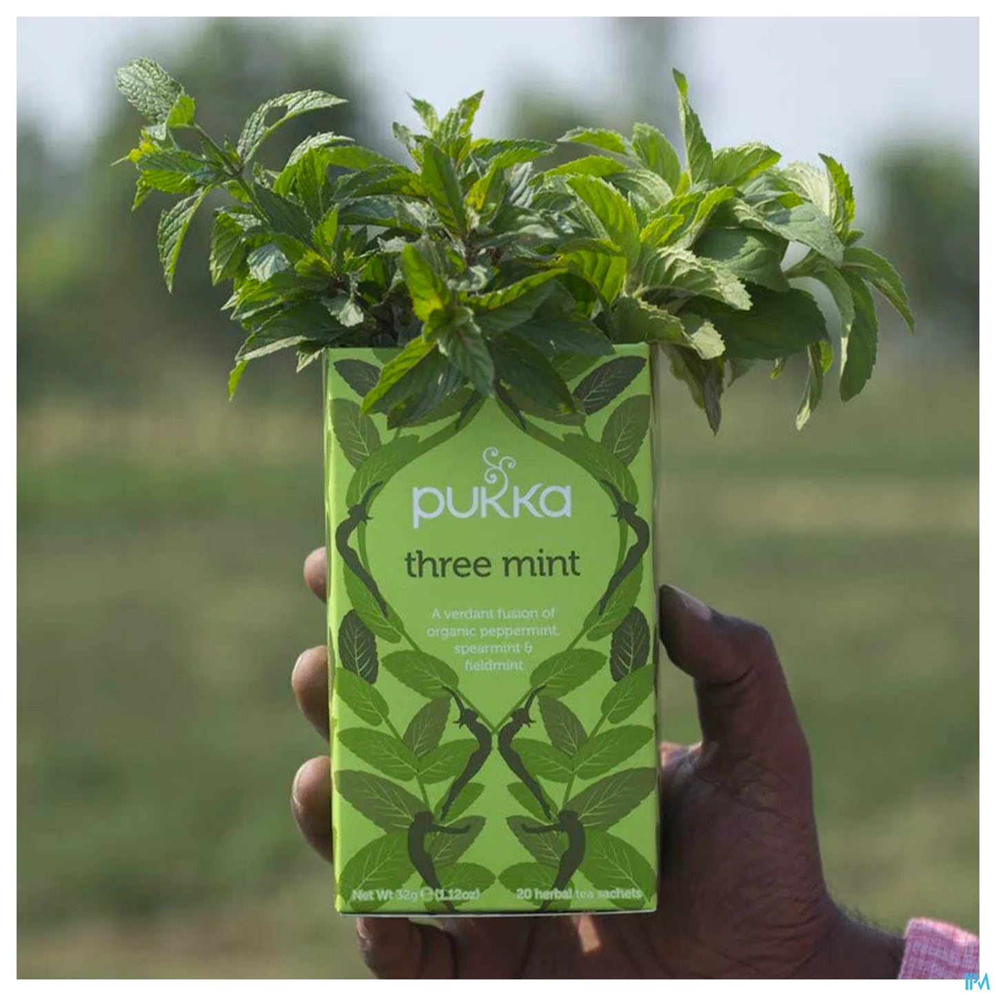 Infusion Trois Menthes Bio 20 Sachets