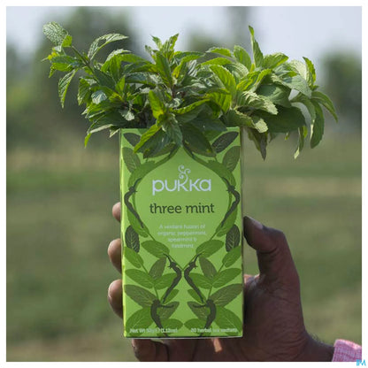 Infusion Trois Menthes Bio 20 Sachets