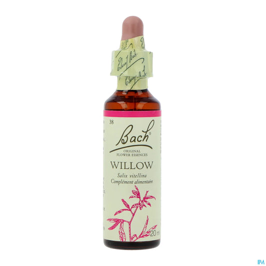 Willow 20 ml
