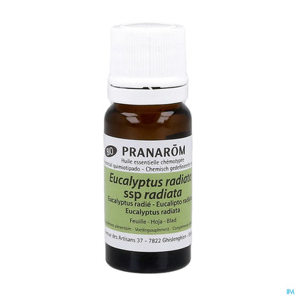 Huile Essentielle Eucalyptus Radié Feuille 10ml