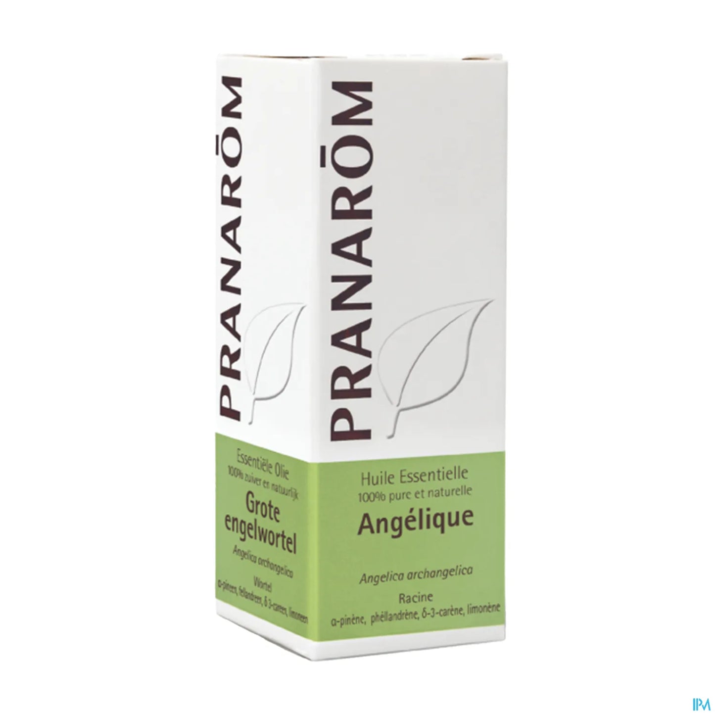 Huile Essentielle Angélique 5 mL