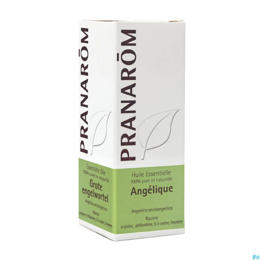 Huile Essentielle Angélique 5 mL