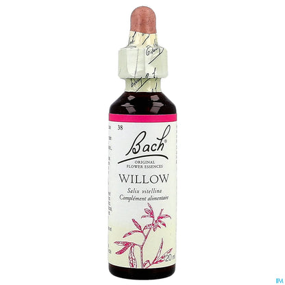 Willow 20 ml