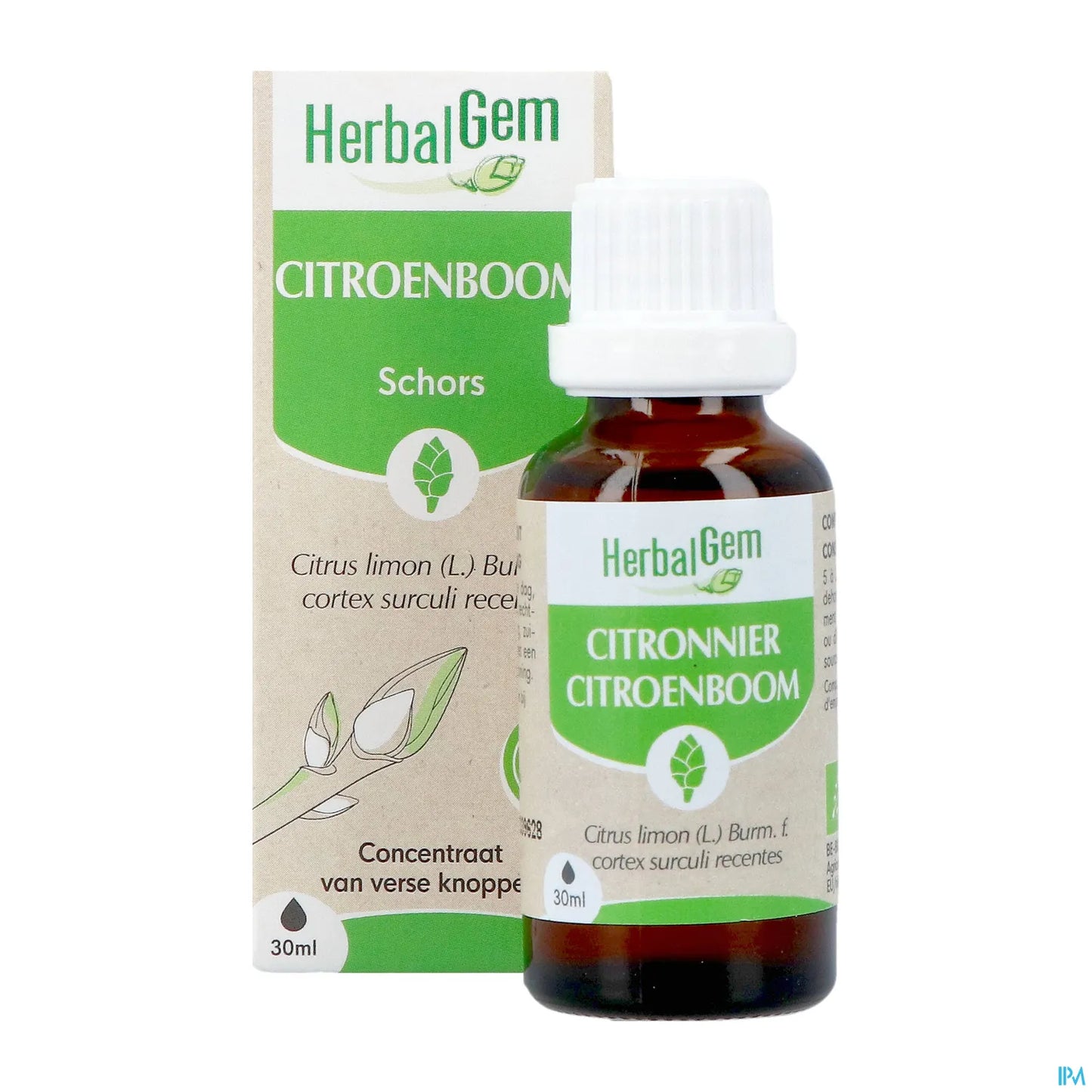 Macérat Bourgeons Citronnier Bio 30 mL