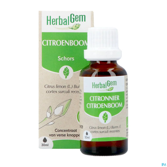 Macérat Bourgeons Citronnier Bio 30 mL