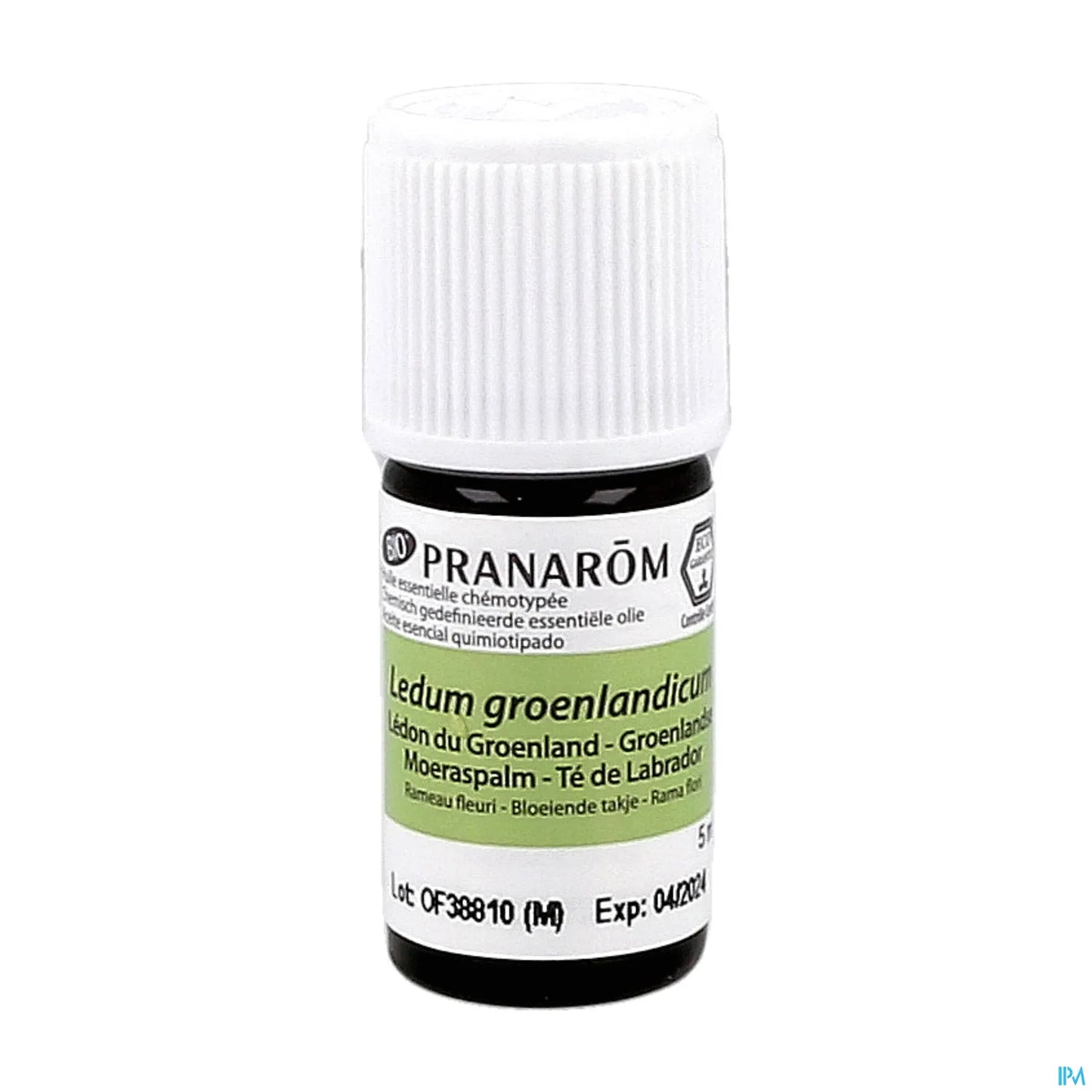Olio essenziale di Ledum della Groenlandia biologico 5 ml