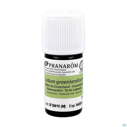 Olio essenziale di Ledum della Groenlandia biologico 5 ml