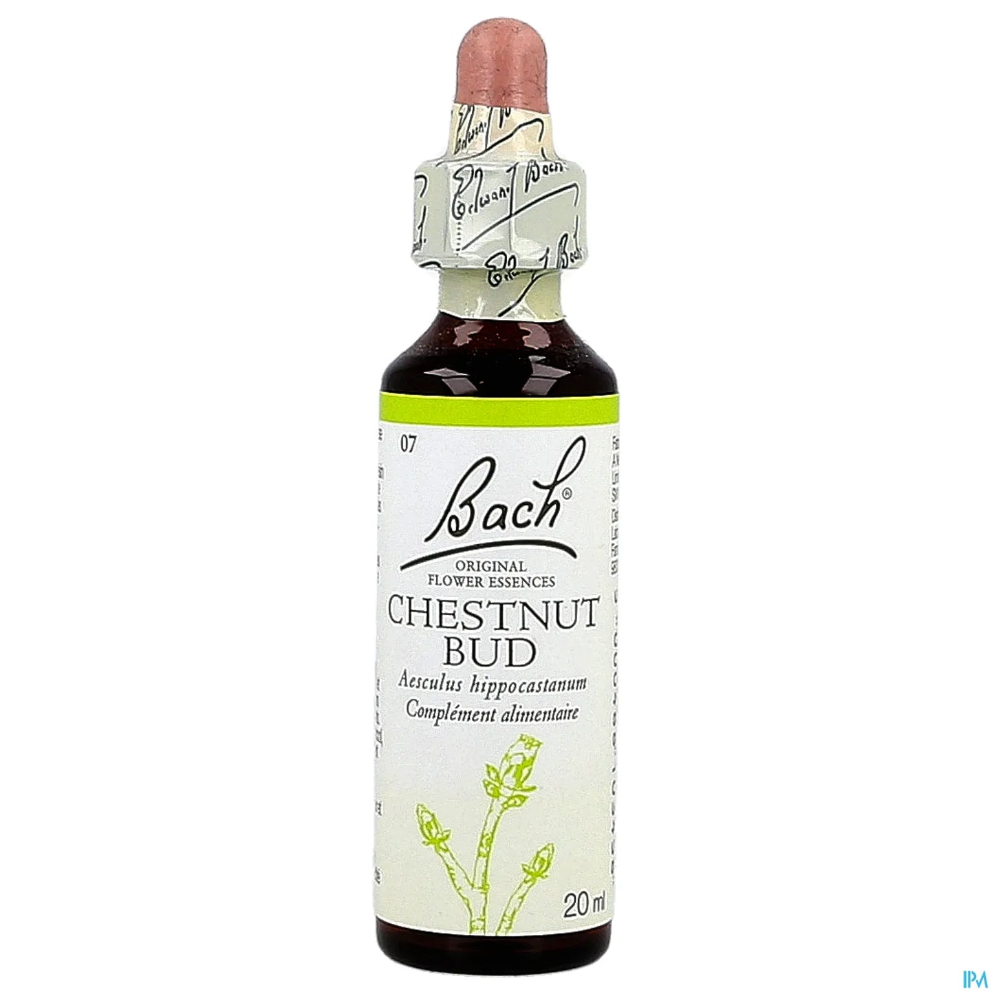 Chestnut Bud N°07 Fleurs de Bach 20ml