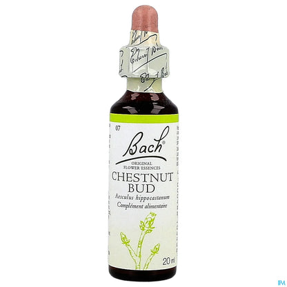 Chestnut Bud N°07 Fleurs de Bach 20ml