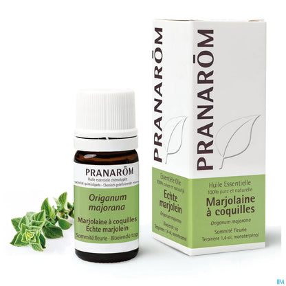 Huile Essentielle Marjolaine à Coquilles 5 mL